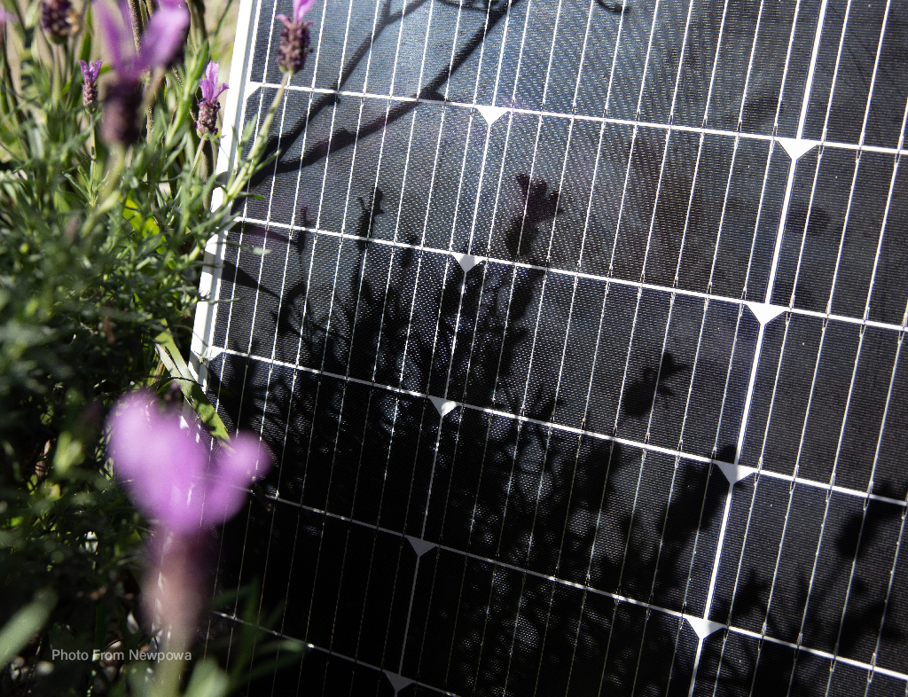 How Many Solar Panels Do You Really Need? How Many Solar Panels Do You Really Need?